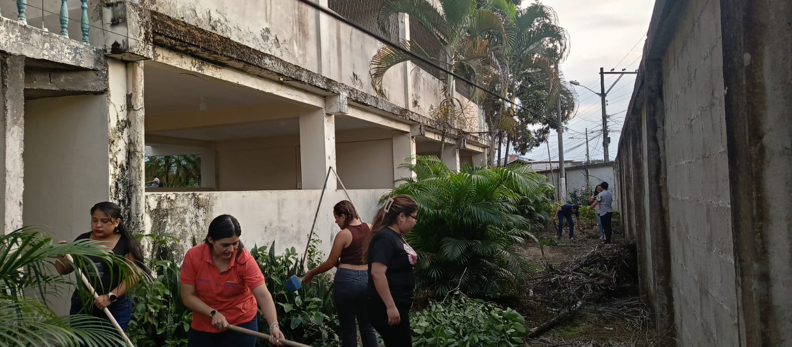 Imagen Jornada de limpieza y siembra